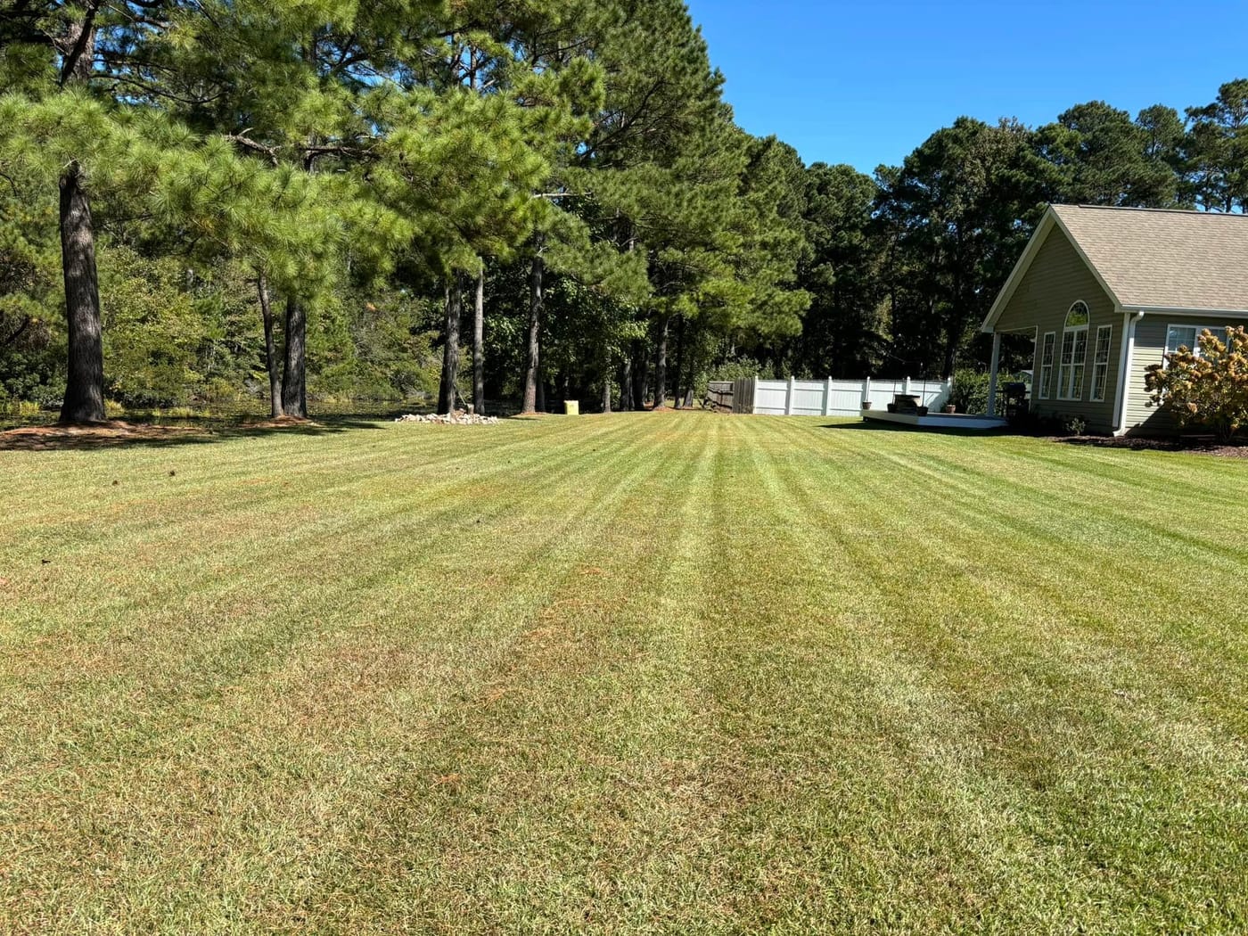 Freshly mowed lawn with clean mowing stripes
