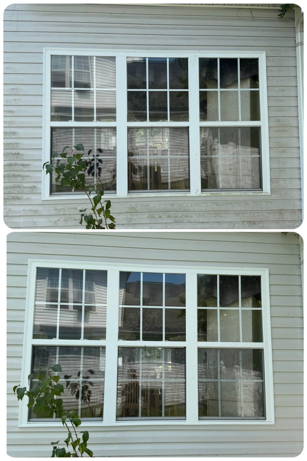 Before and after soft washing of home siding and windows